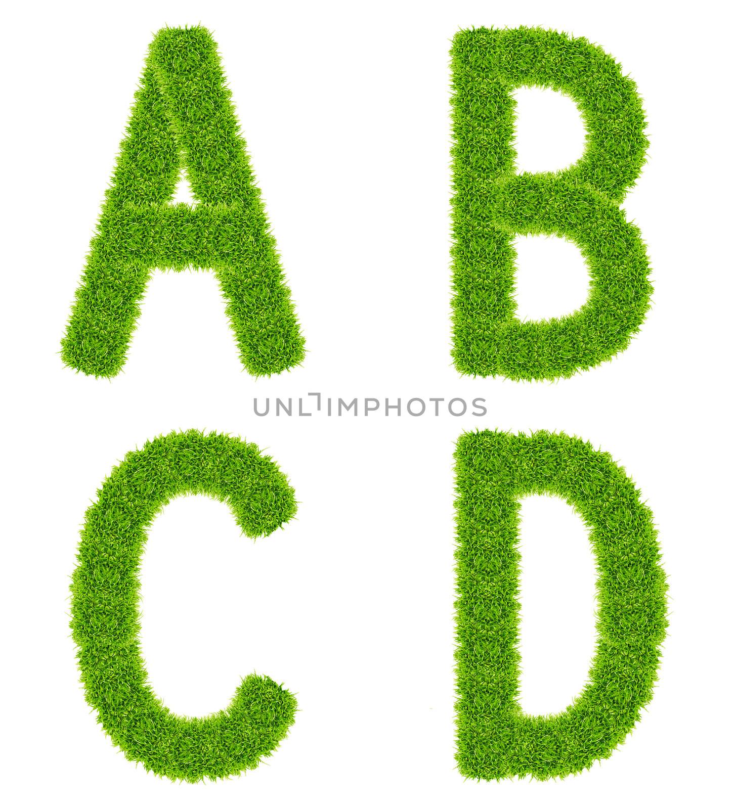 green grass letter abcd isolated