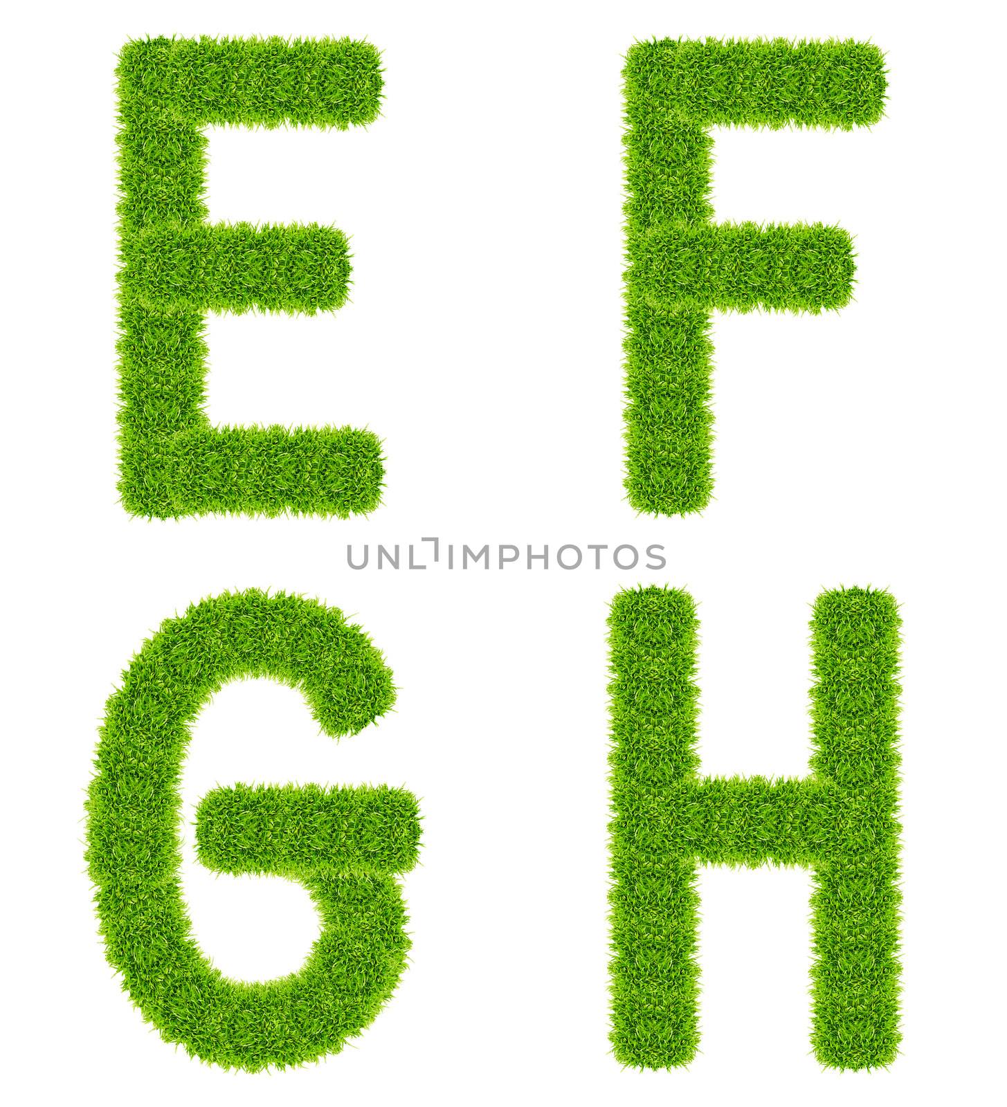green grass letter efgh isolated