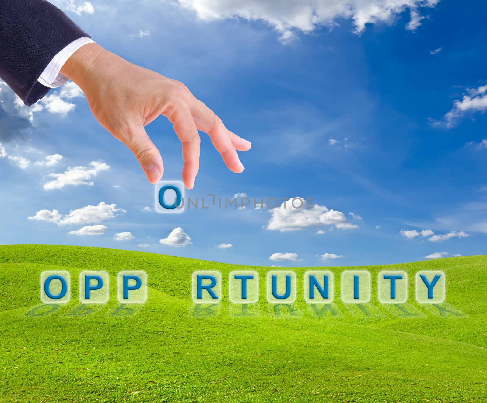 business man hand made opportunity word buttons on green grass meadow