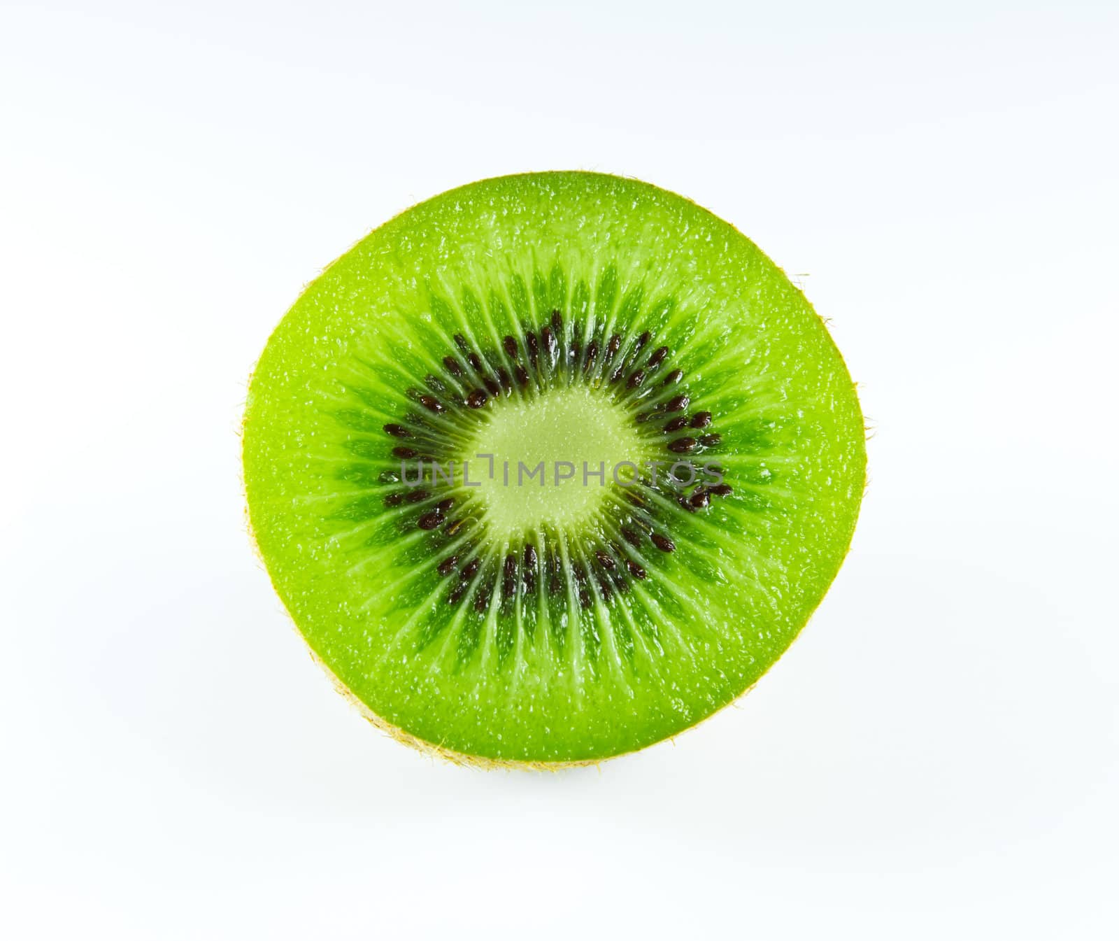 kiwi fruit isolated by tungphoto