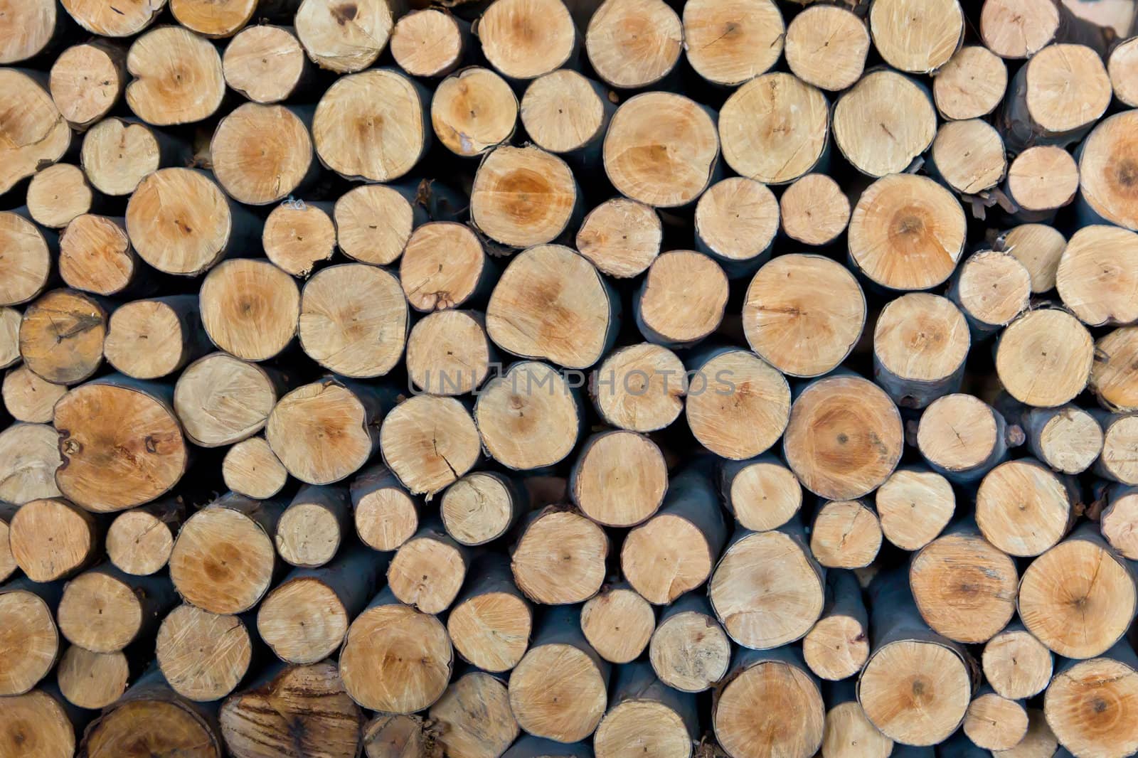 stack of tree stump for background