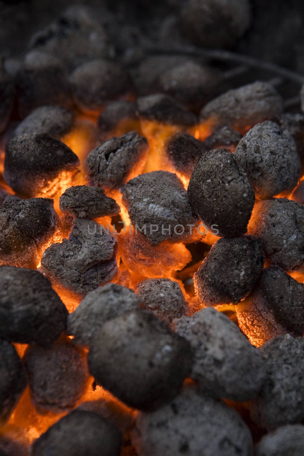 Barbecue Coal by gemenacom