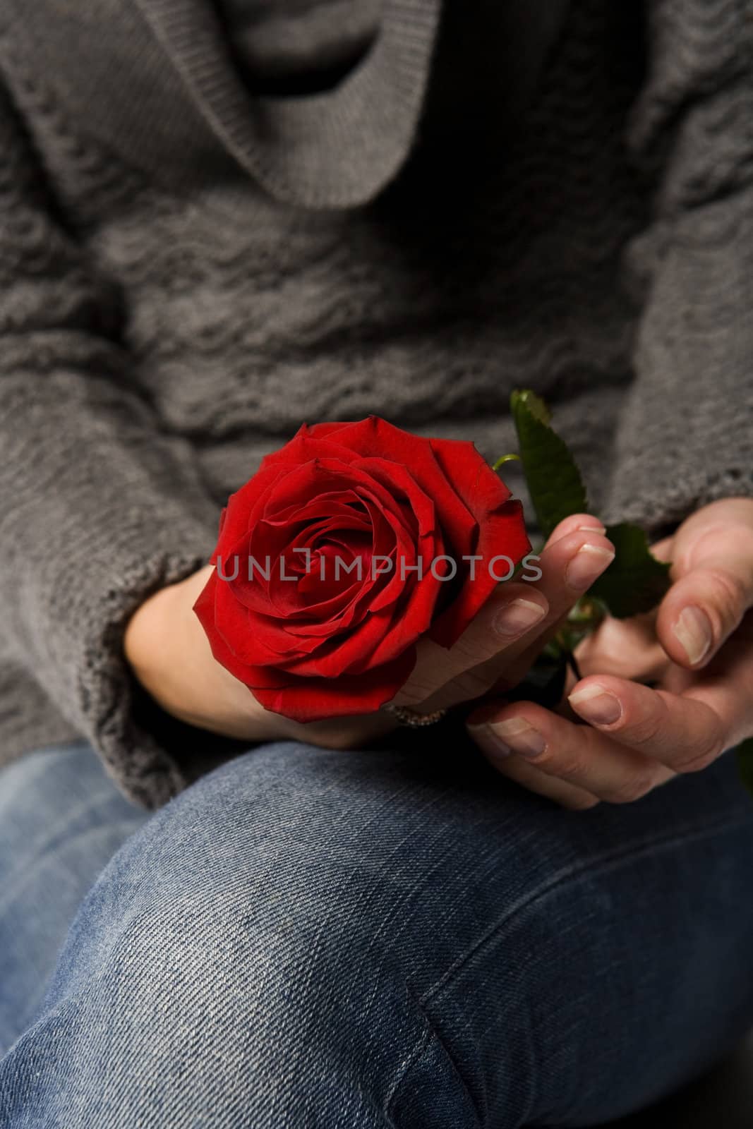 Woman Holding a Red Rose