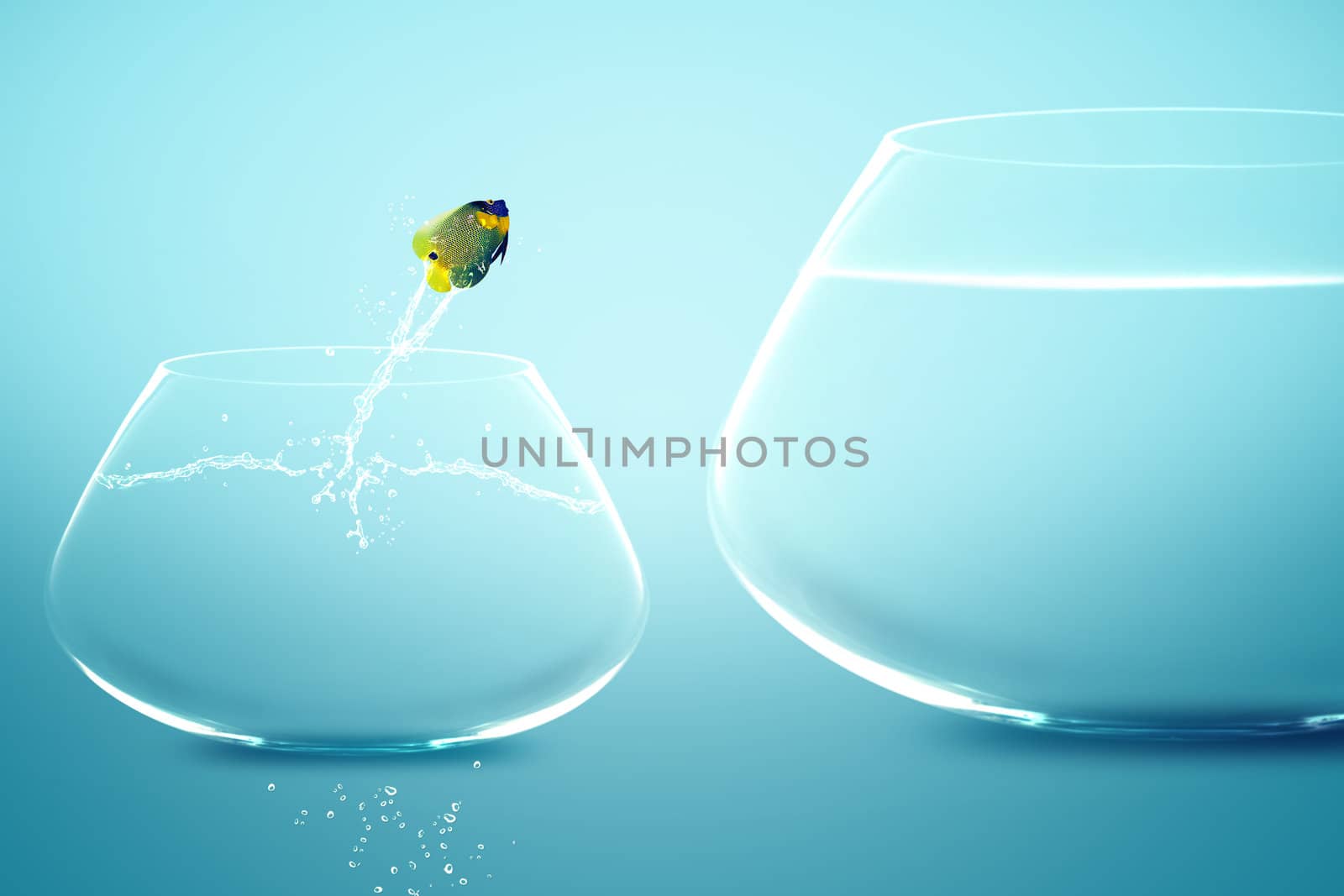 Anglefish jumping into bigger fishbowl by designsstock