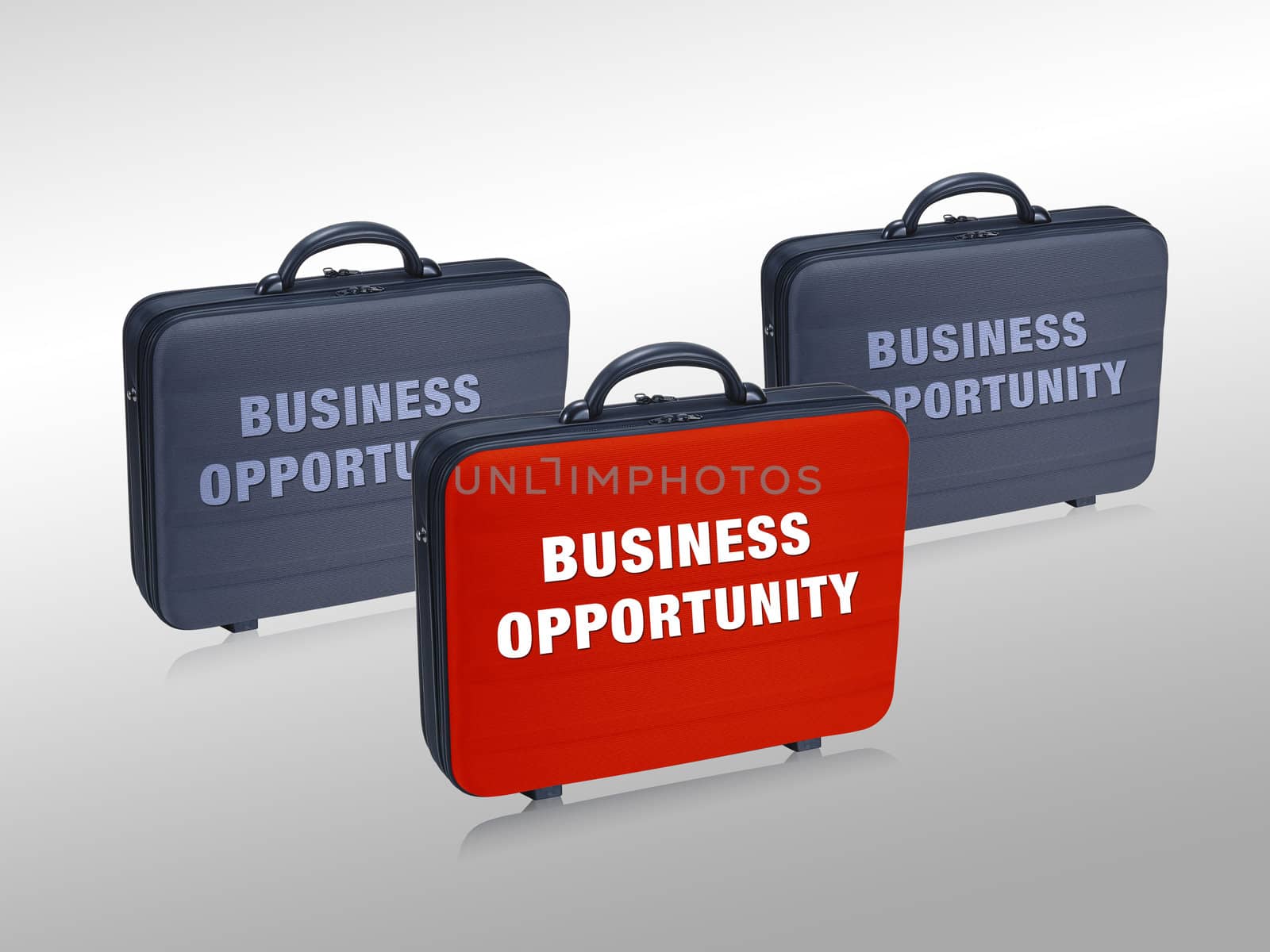 Business case write on it Business Opprtunity