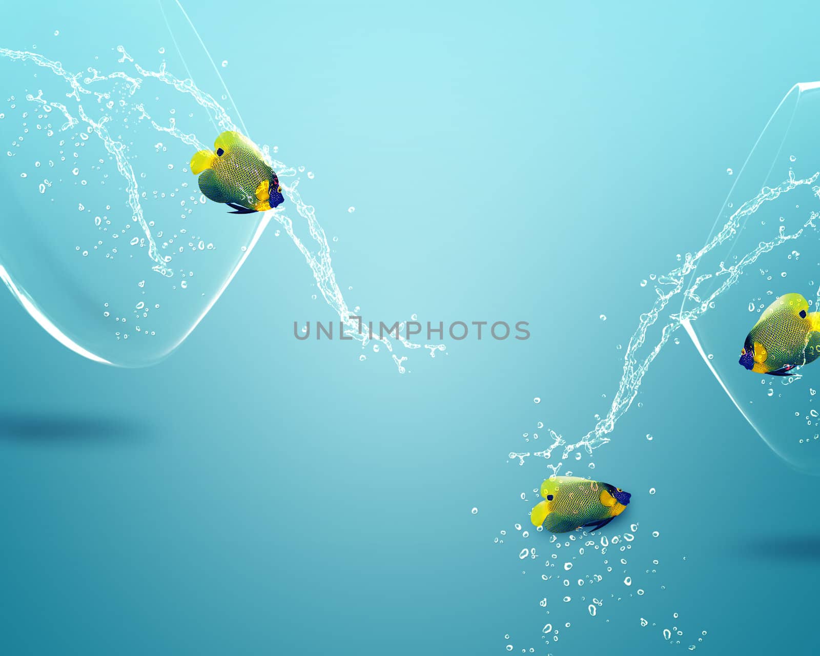 Two angelfish jumping out of fishbowl to new one, one failed one win.