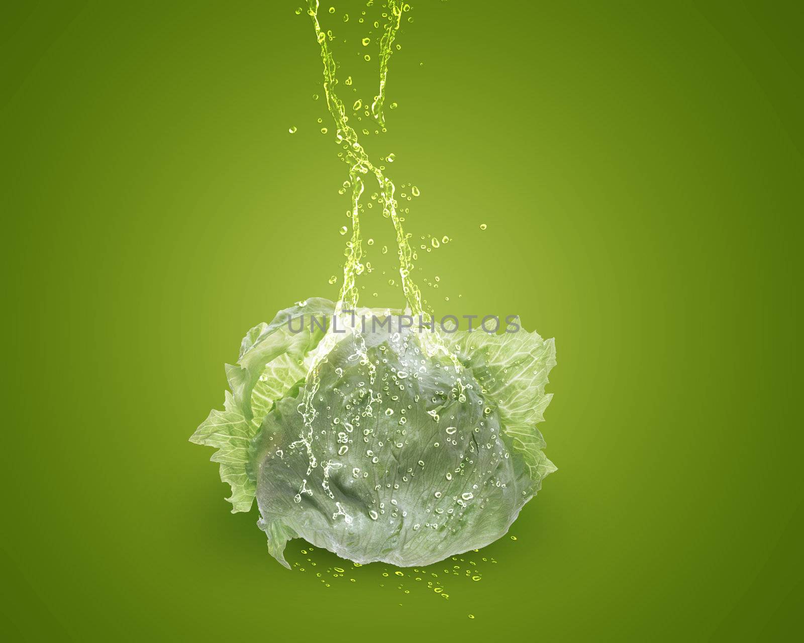 Fresh lettuce with water splashes on green background.