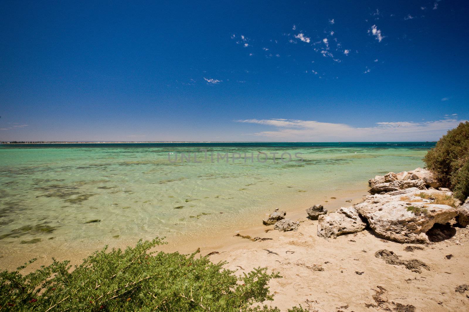 Dreamy wild beach and sea under a blue sky, with plants and rocks in the foreground