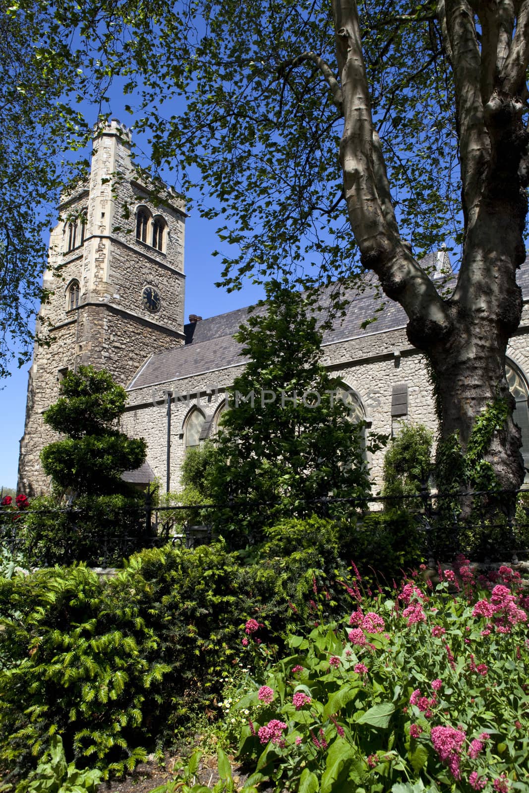 The church of St Mary at Lambeth which contains the Garden Museum in London.