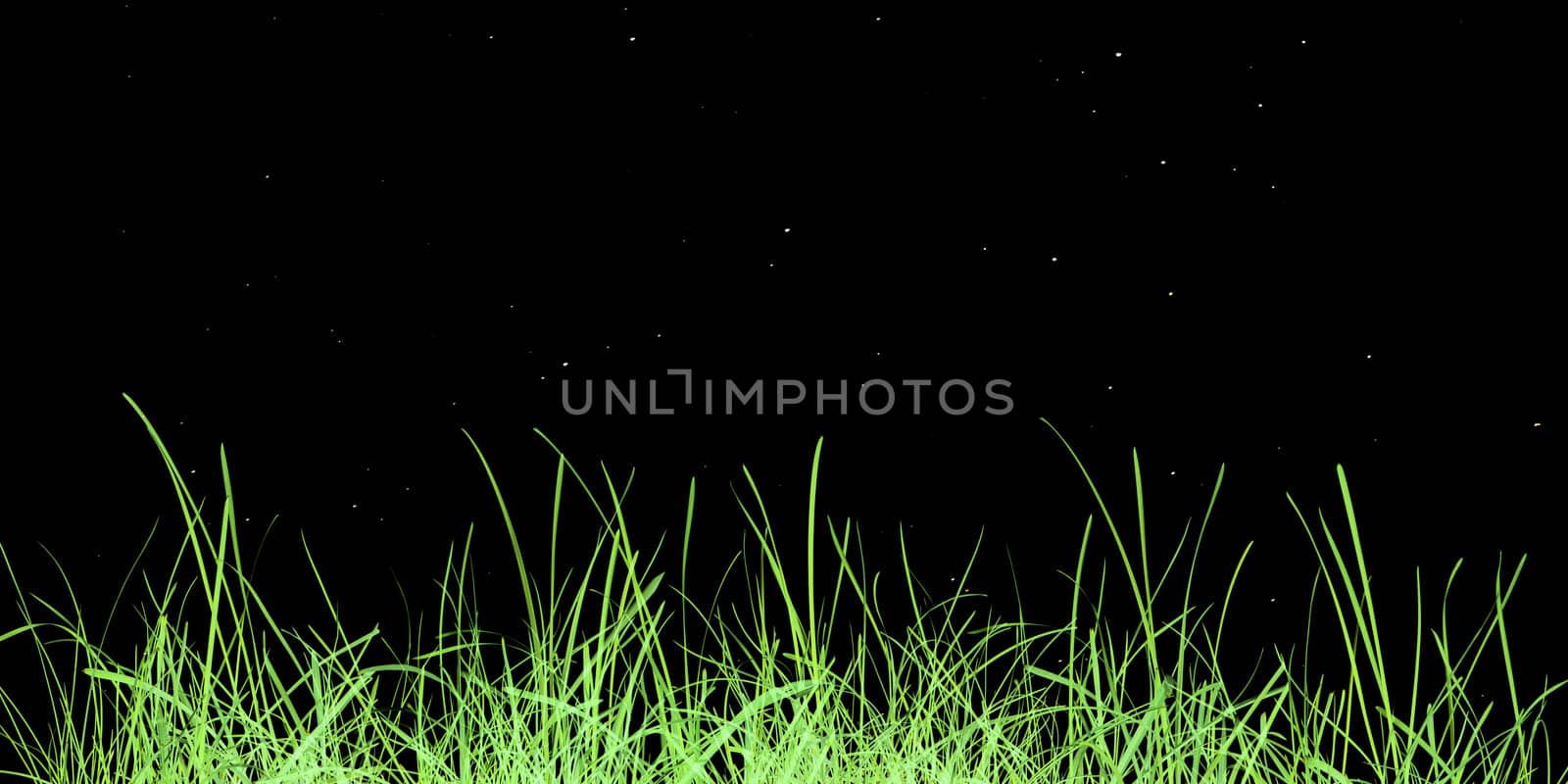 Green grass meadow over black background