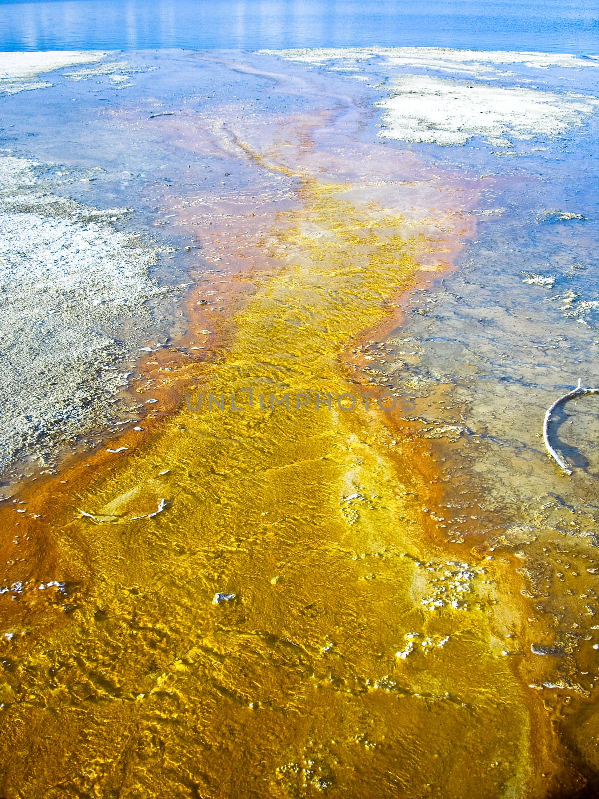 Yellow geothermal stream in Yellowstone by emattil