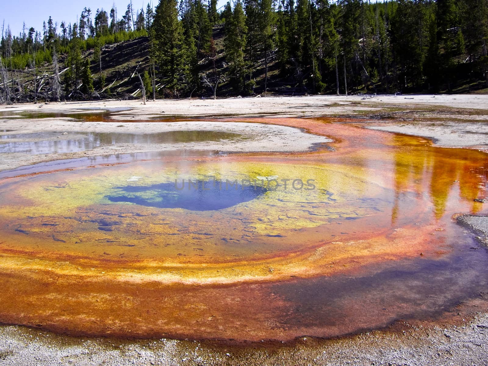 Colorful geothermal pools in Yellowstone National Park, USA