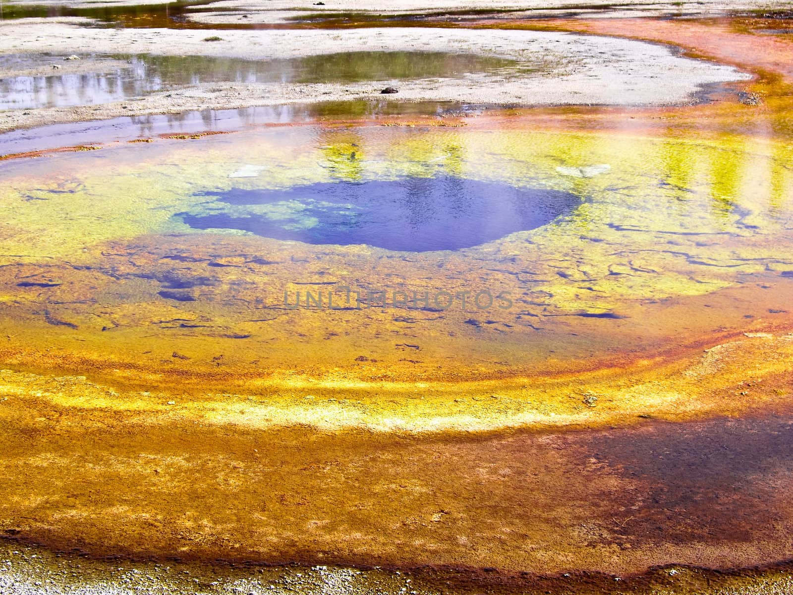 Algae causes vibrant color in Yellowstone thermal pools by emattil
