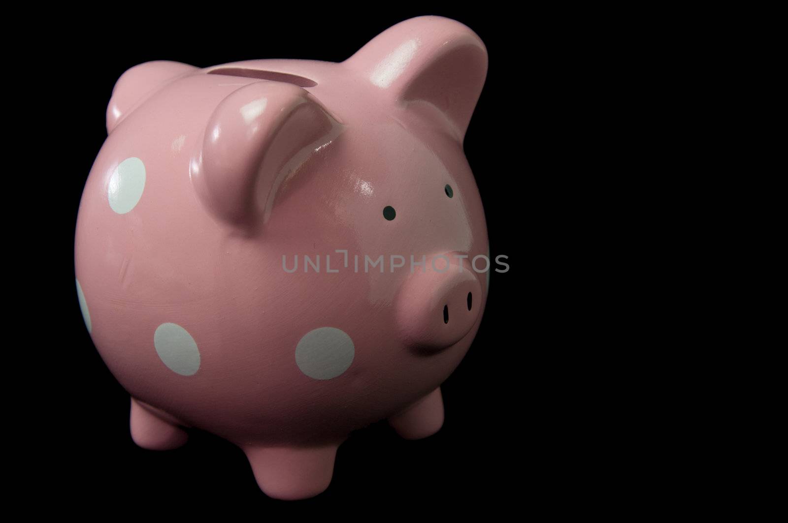 single Pink Polka Dot Piggy Bank againt a black background