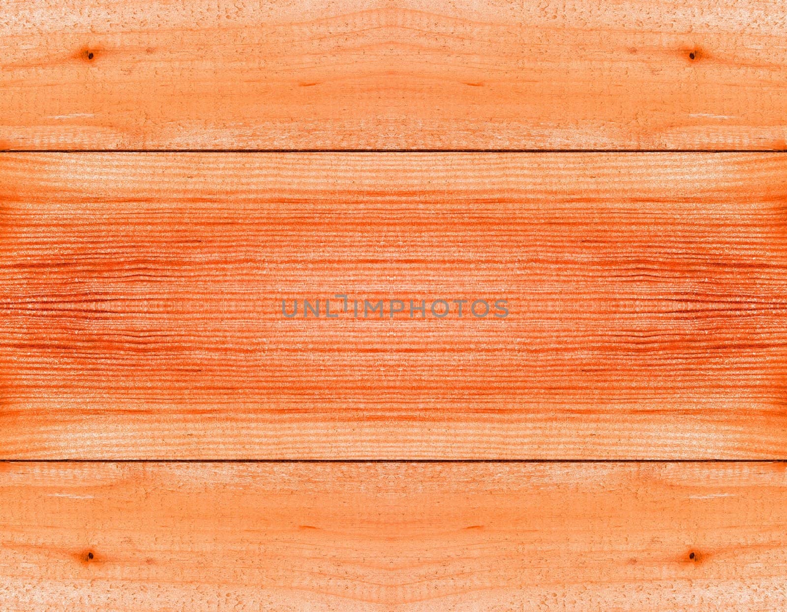 Texture of wood background closeup