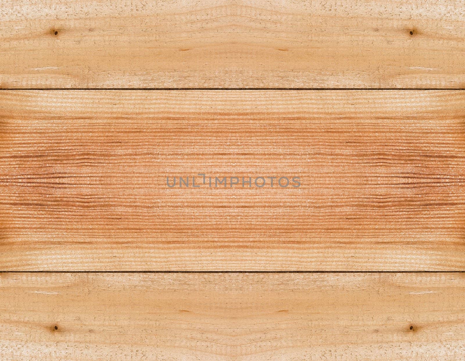 Texture of wood background closeup