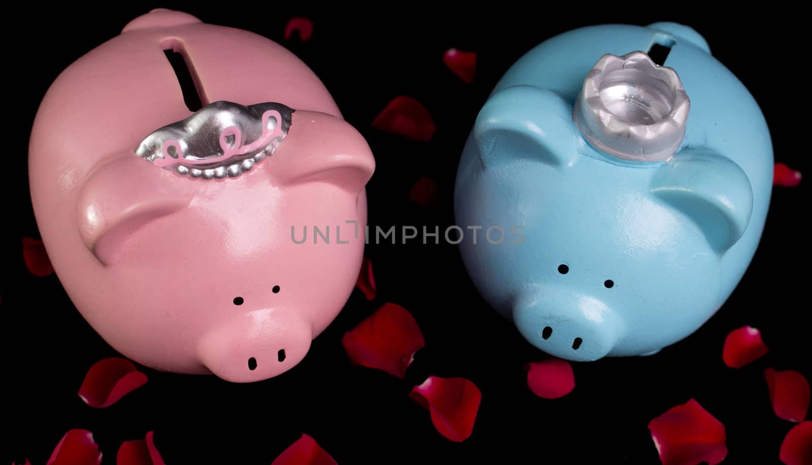King & queen piggy banks on a bed of red rose petals on black background