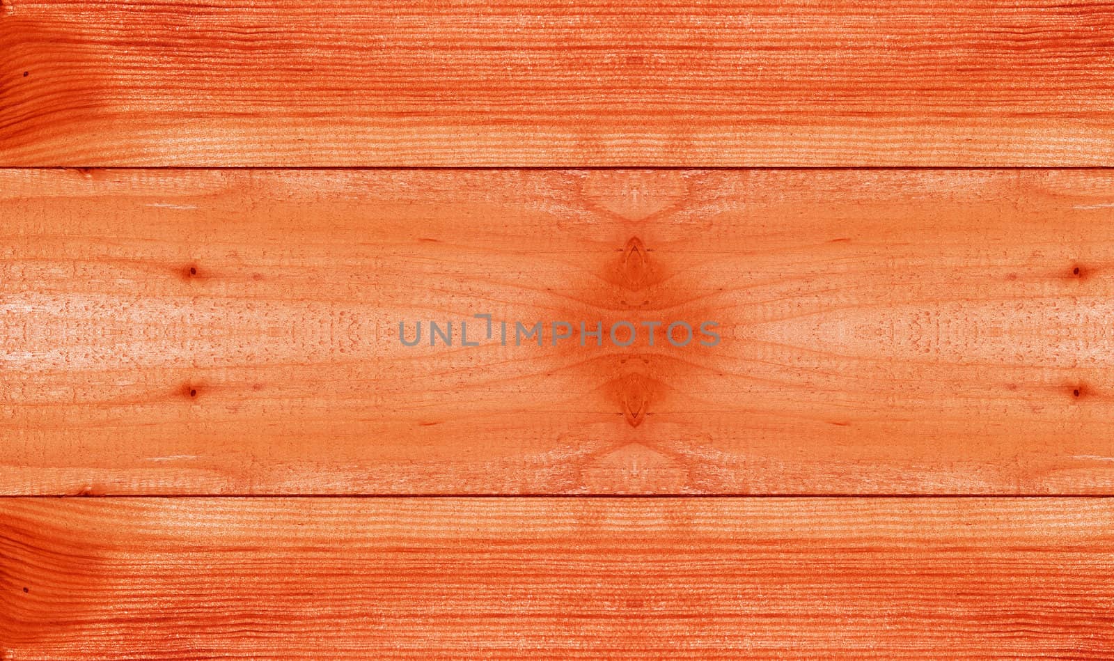 Texture of wood background closeup