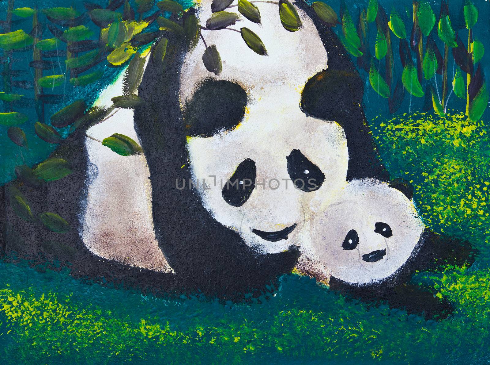 drawing of panda family by tungphoto