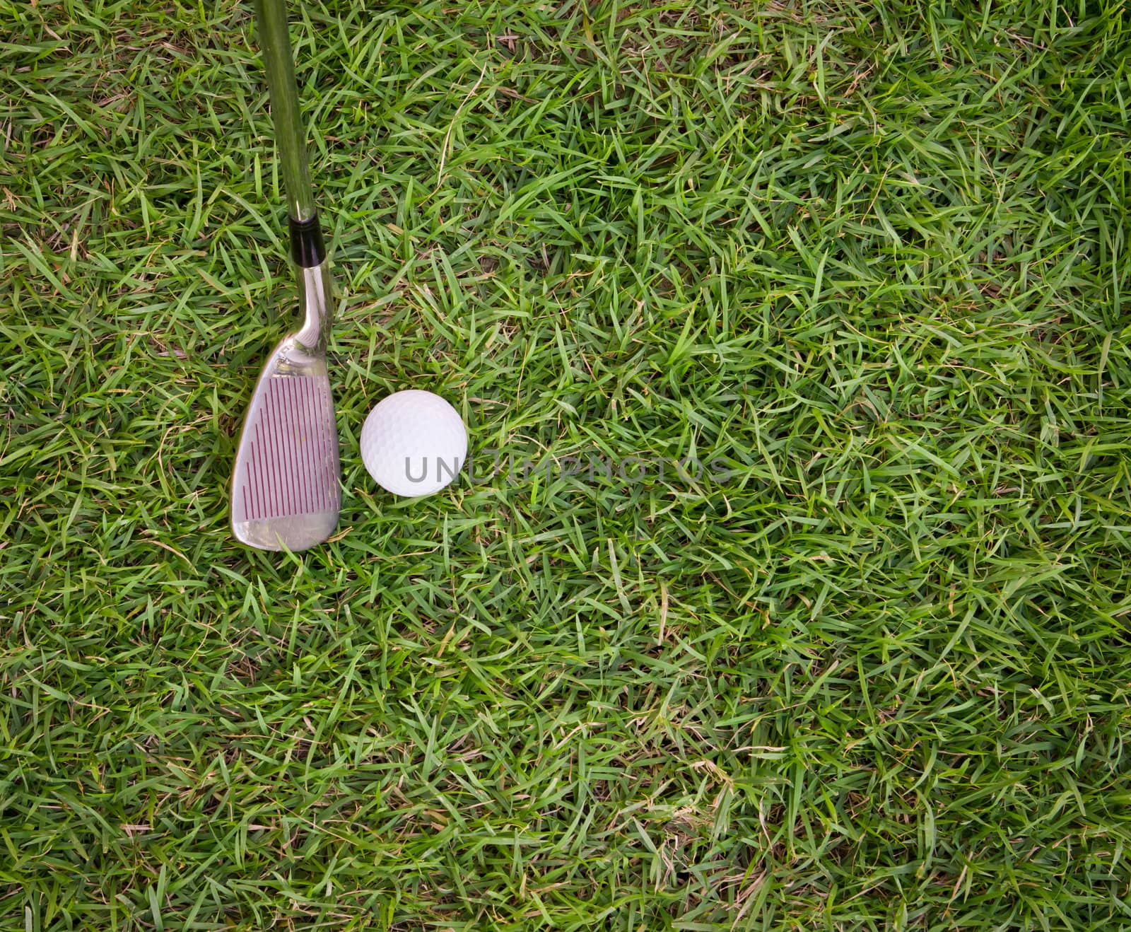 golf ball and iron on grass by tungphoto