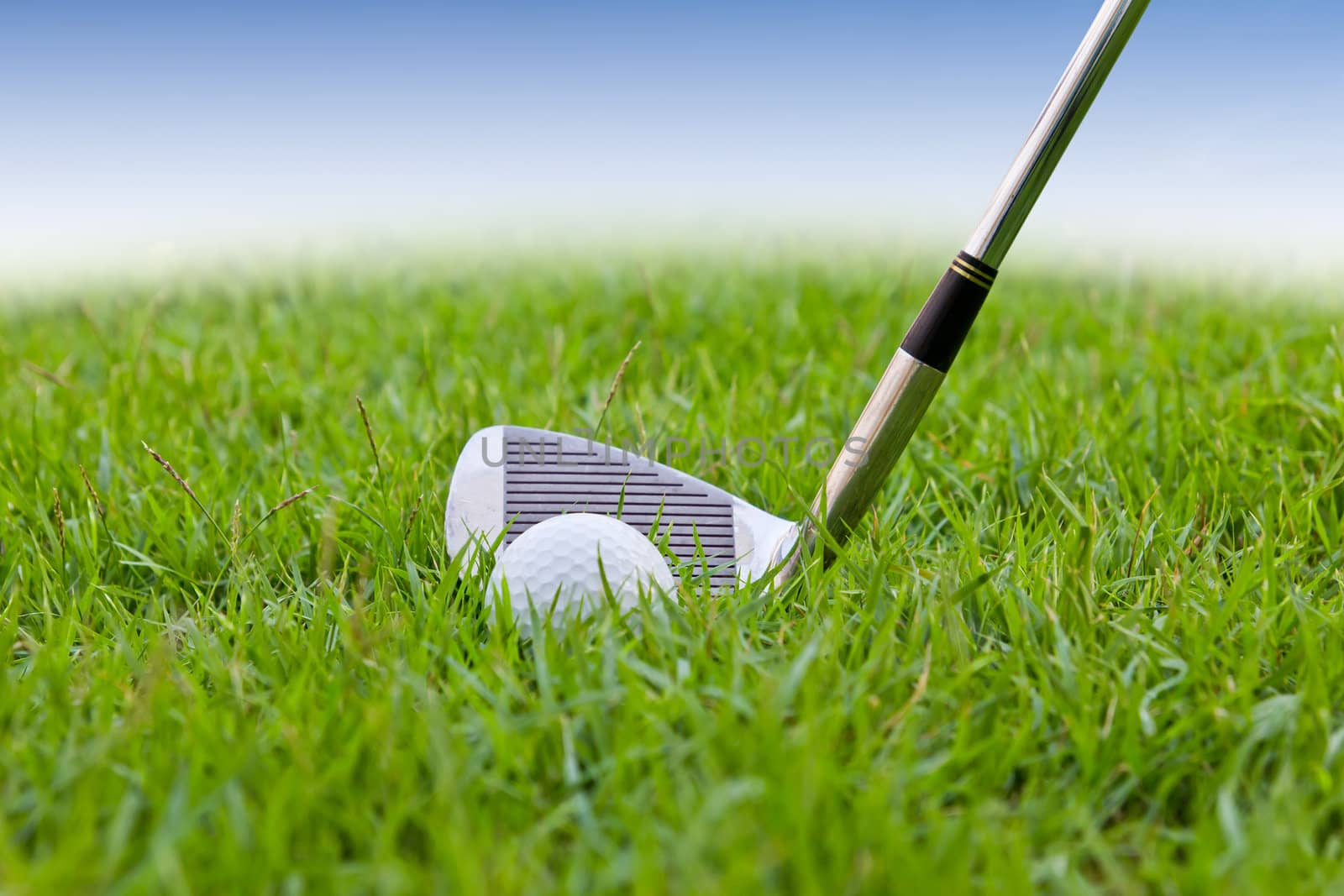 golf ball and iron on tall grass