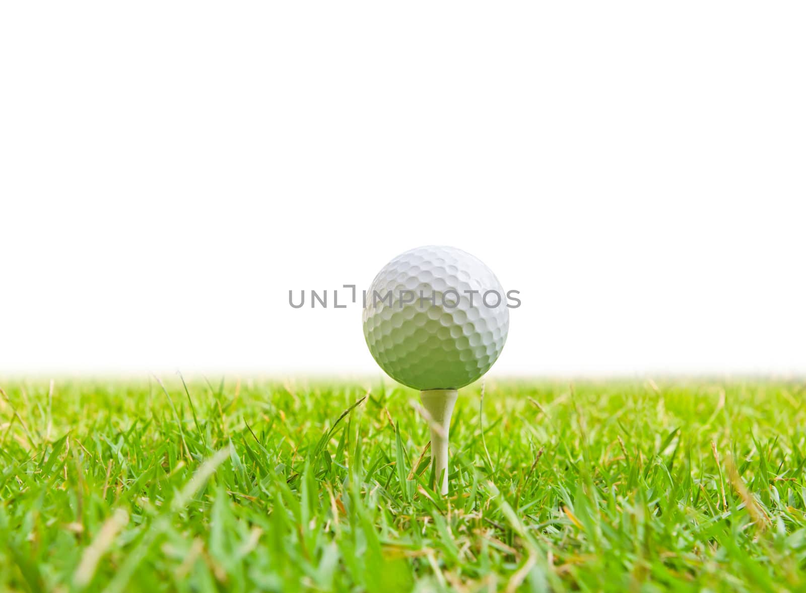 golf ball and tee grass by tungphoto