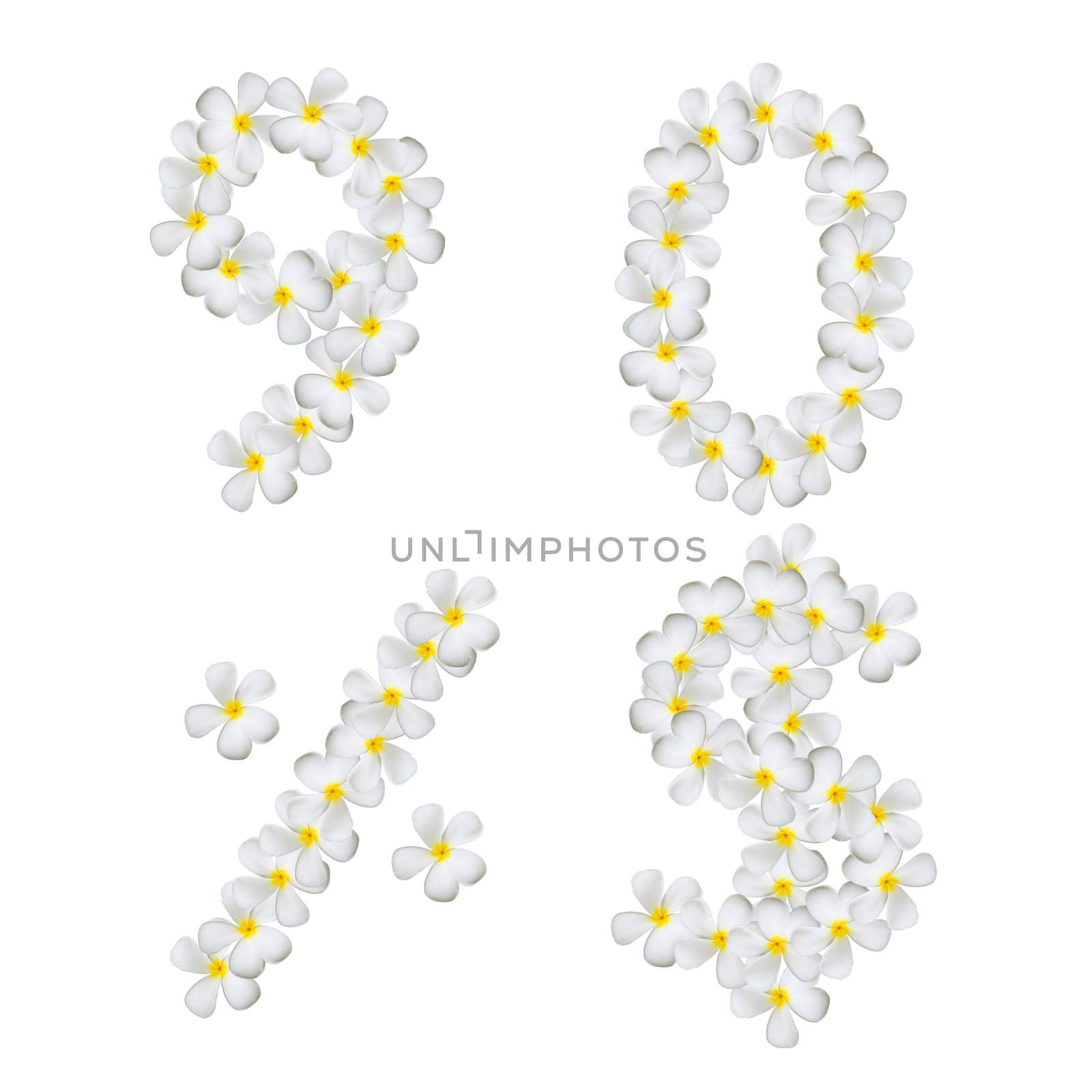 Plumeria alphabet isolated on white background  ( 9 0 % $ )