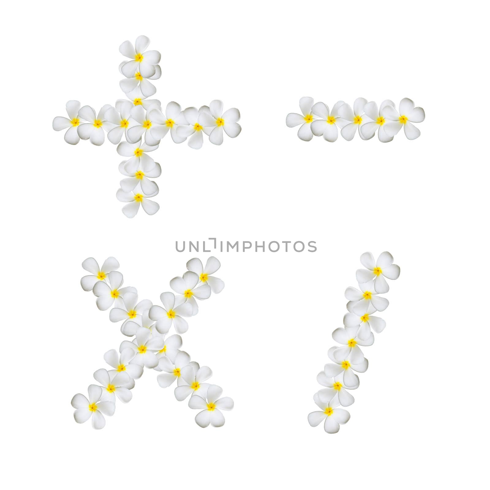 Plumeria alphabet isolated on white background  ( + - x / )