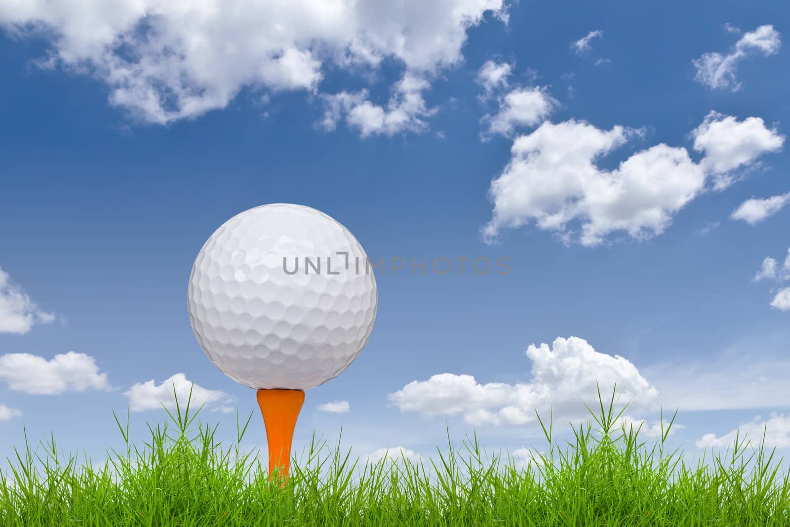 golf ball and tee on tall grass by tungphoto