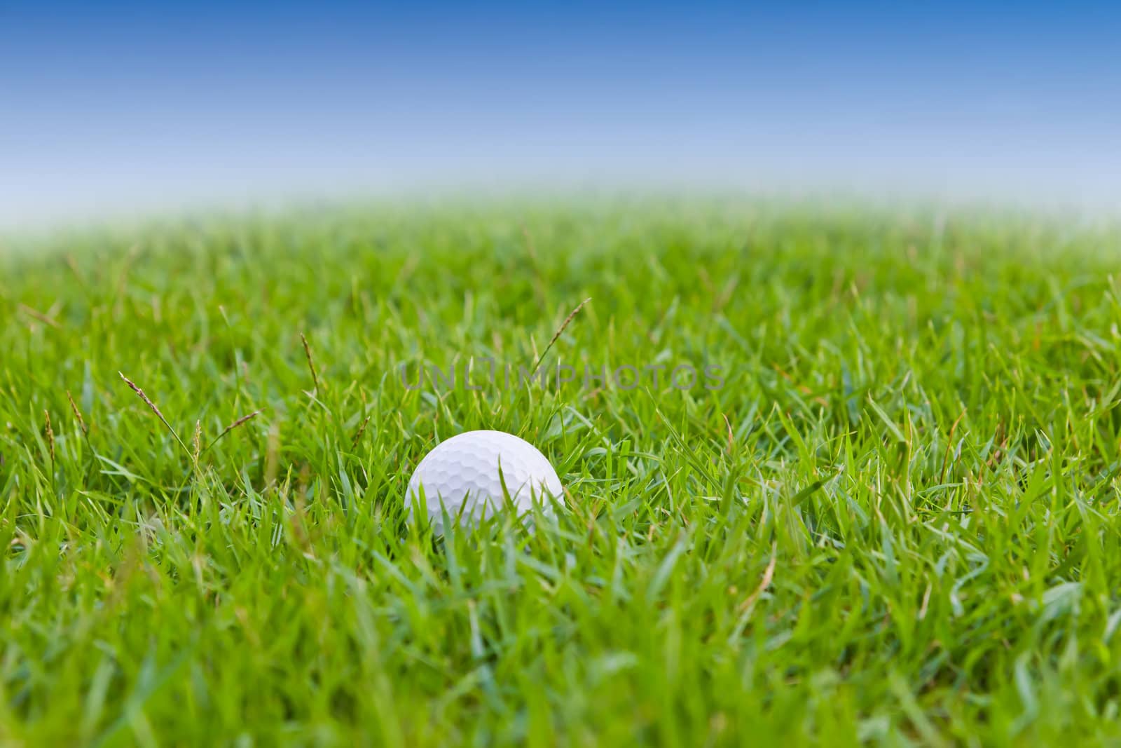 golf ball on grass by tungphoto