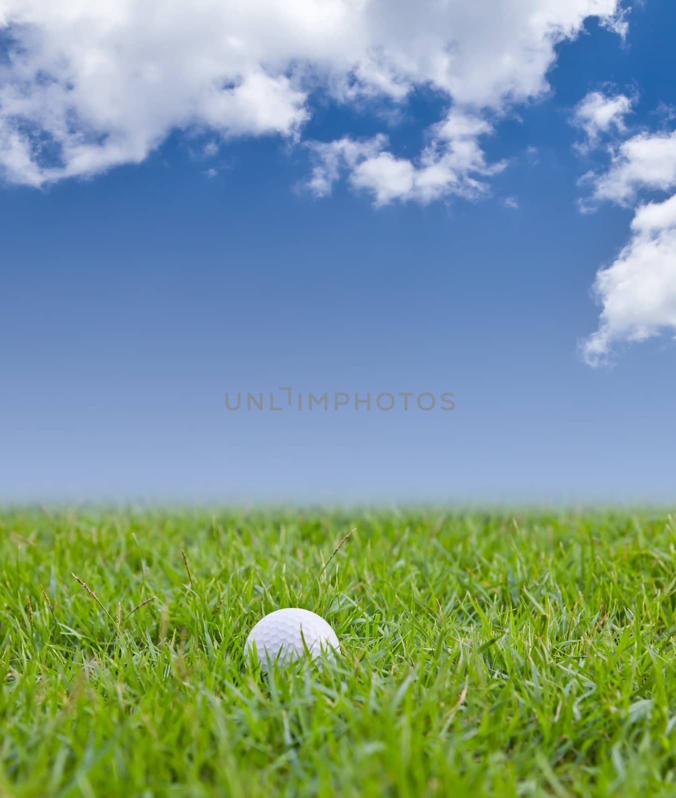 golf ball on grass by tungphoto