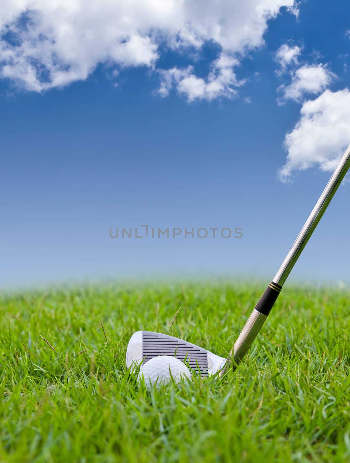 golf ball and iron on tall grass by tungphoto
