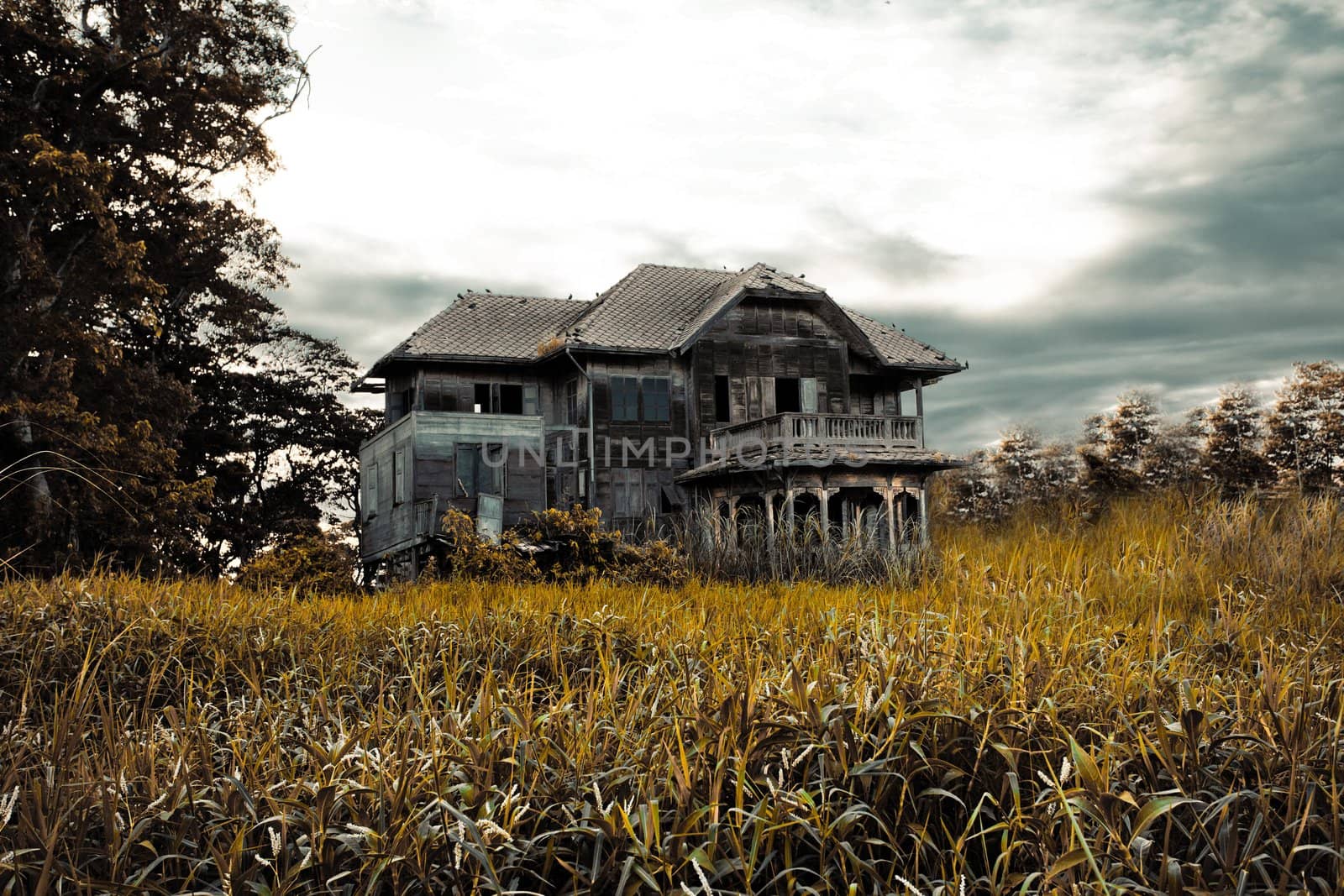 abandoned old house in Thailand