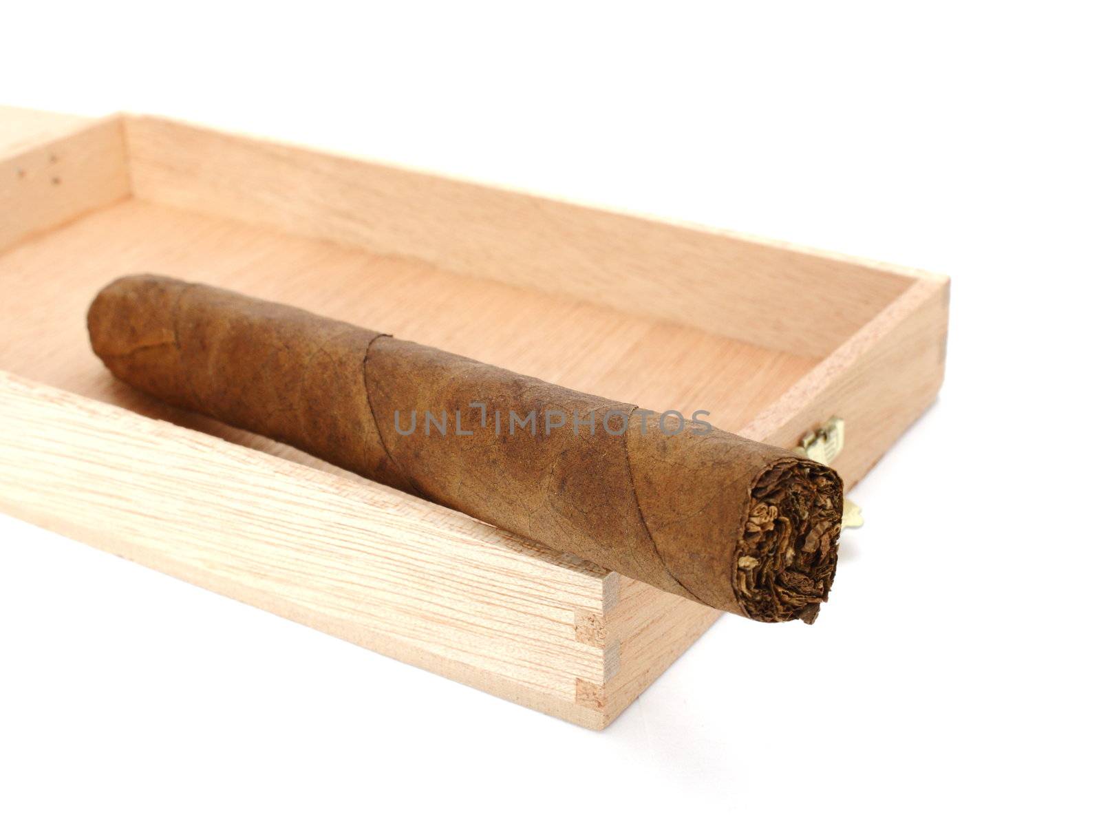 cuban cigar in wooden box by taviphoto