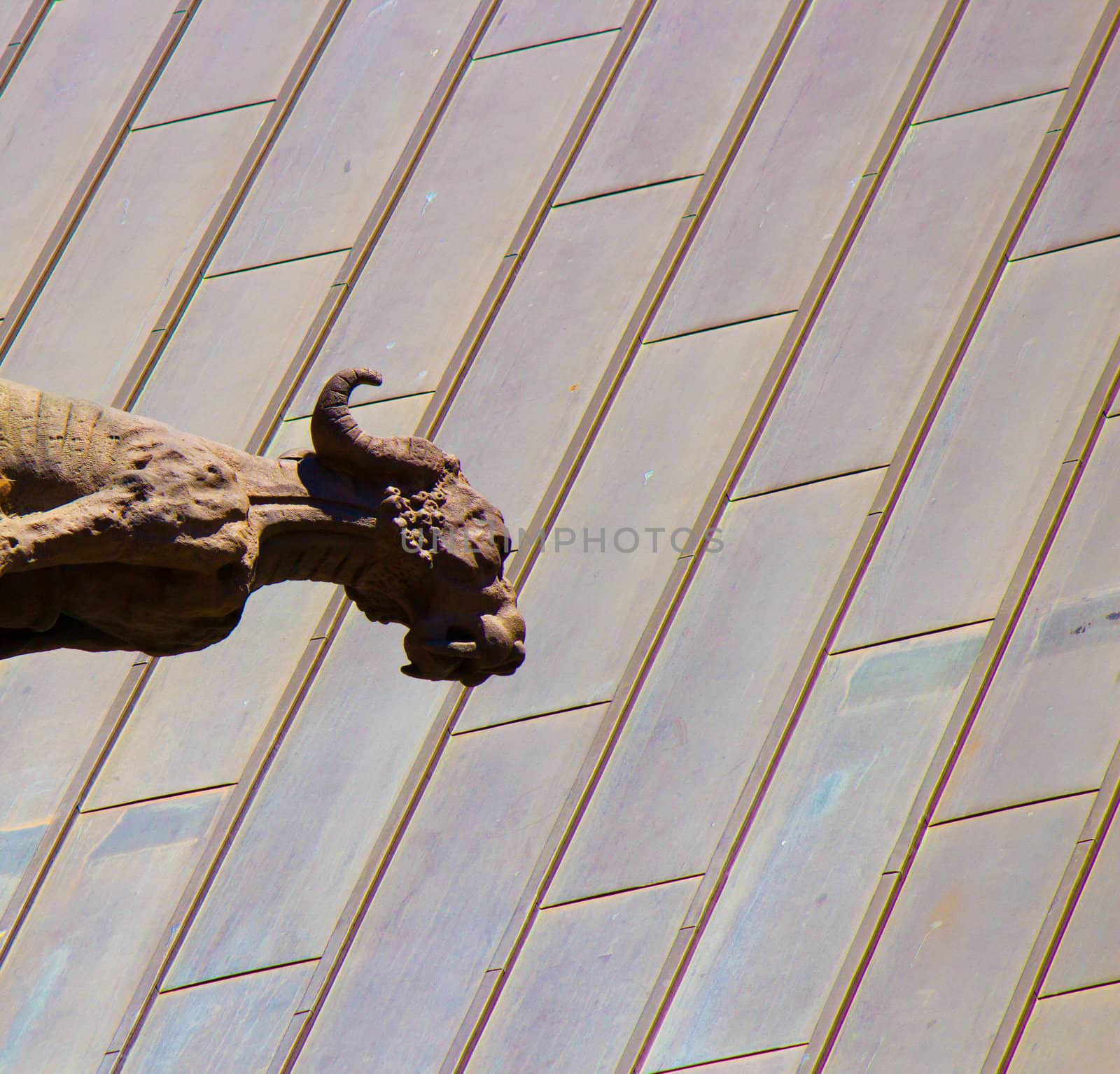A gargoyle stands watch.
