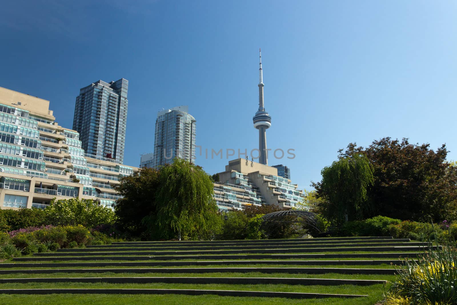 The CN Tower seen from the Harbourfront Music Garden.
