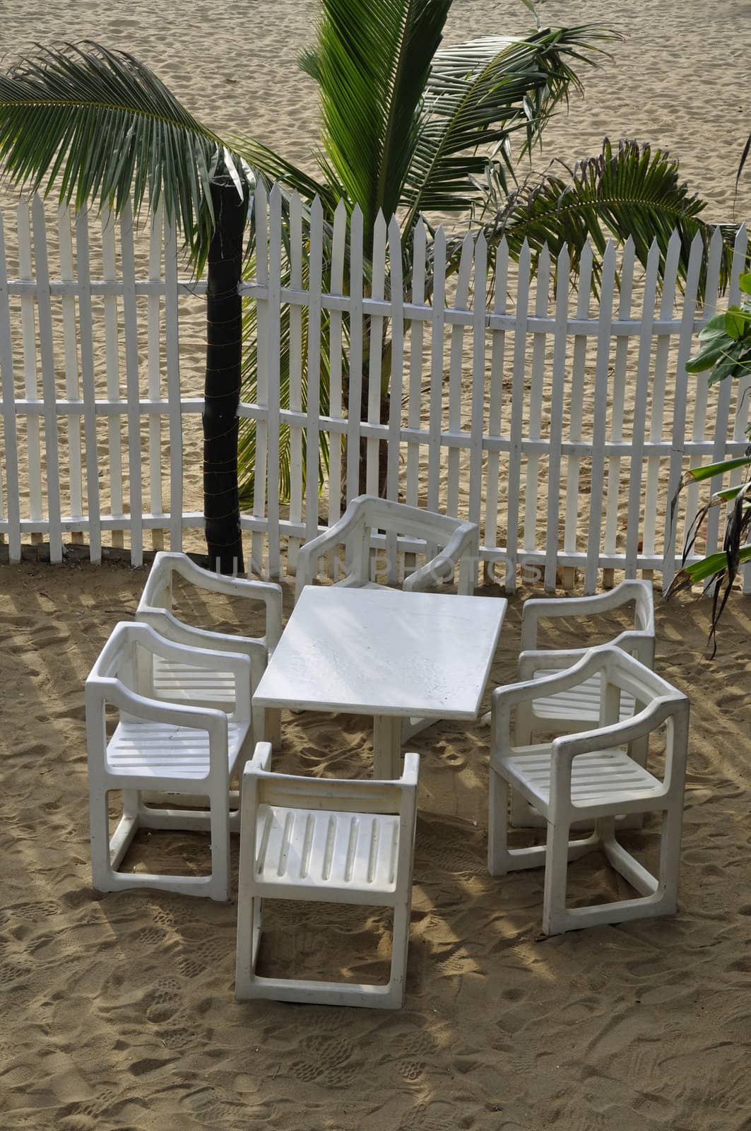 White chairs against a palm tree at a cafe at the beach by kdreams02