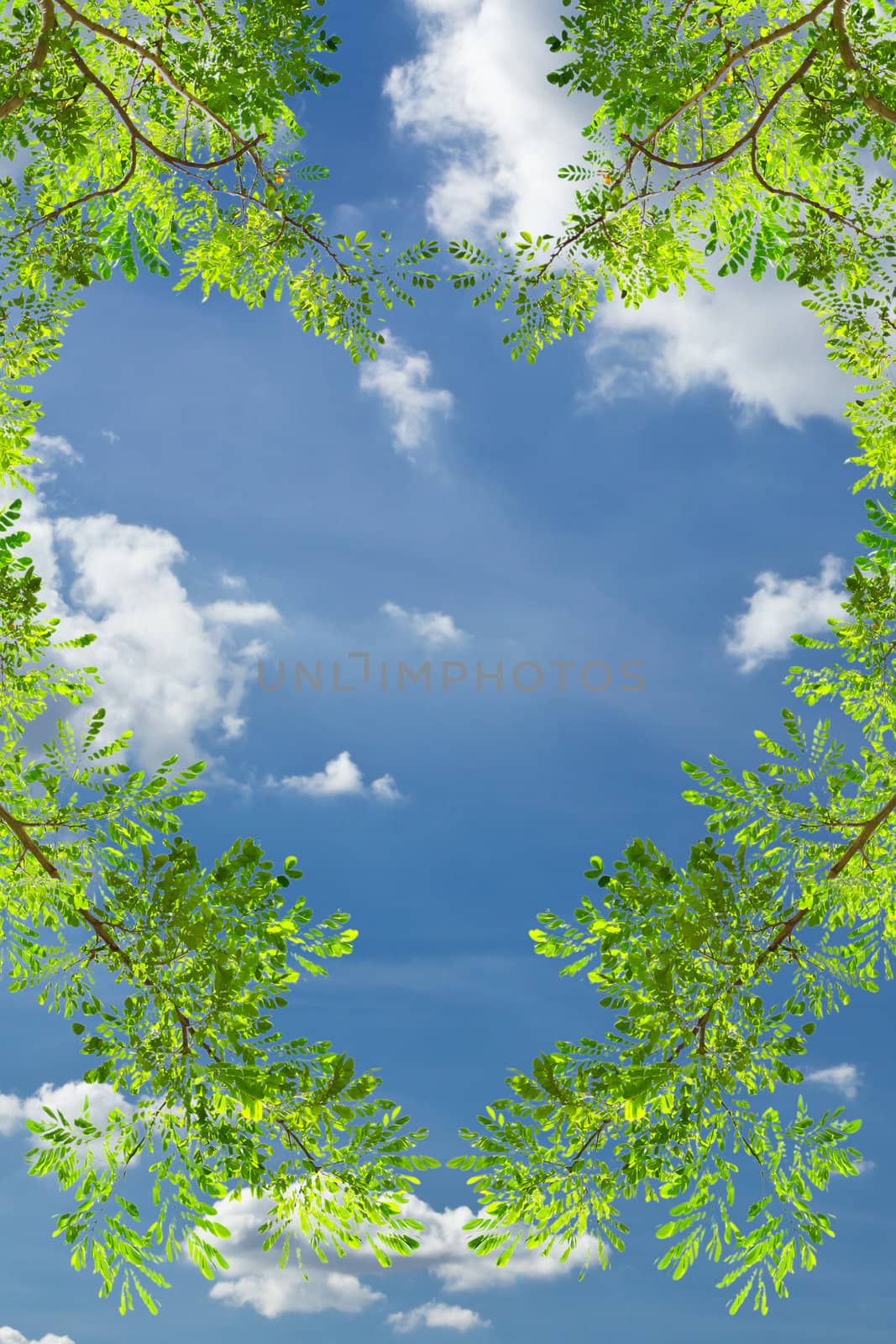 love heart green leave against blue sky by tungphoto