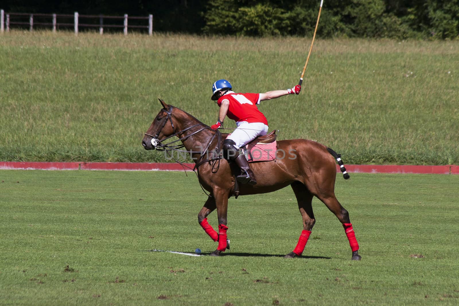 Polo player taking a penalty shot.