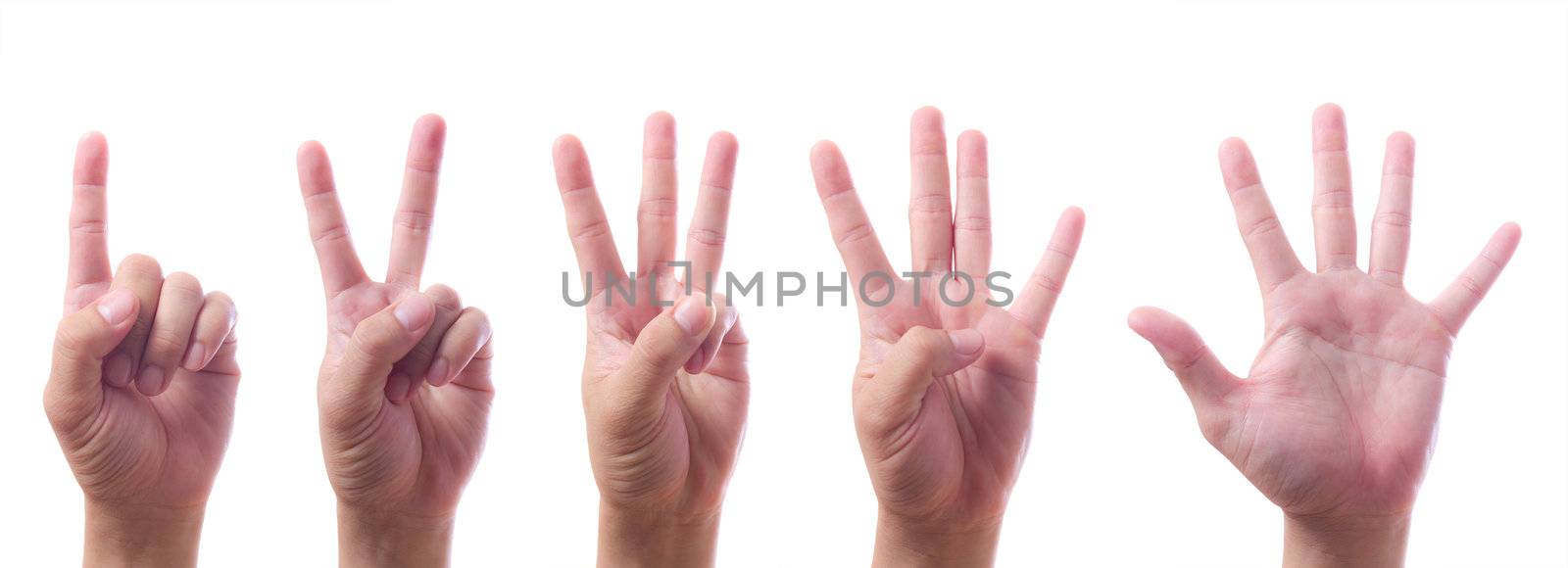 Hands count one to five by tungphoto