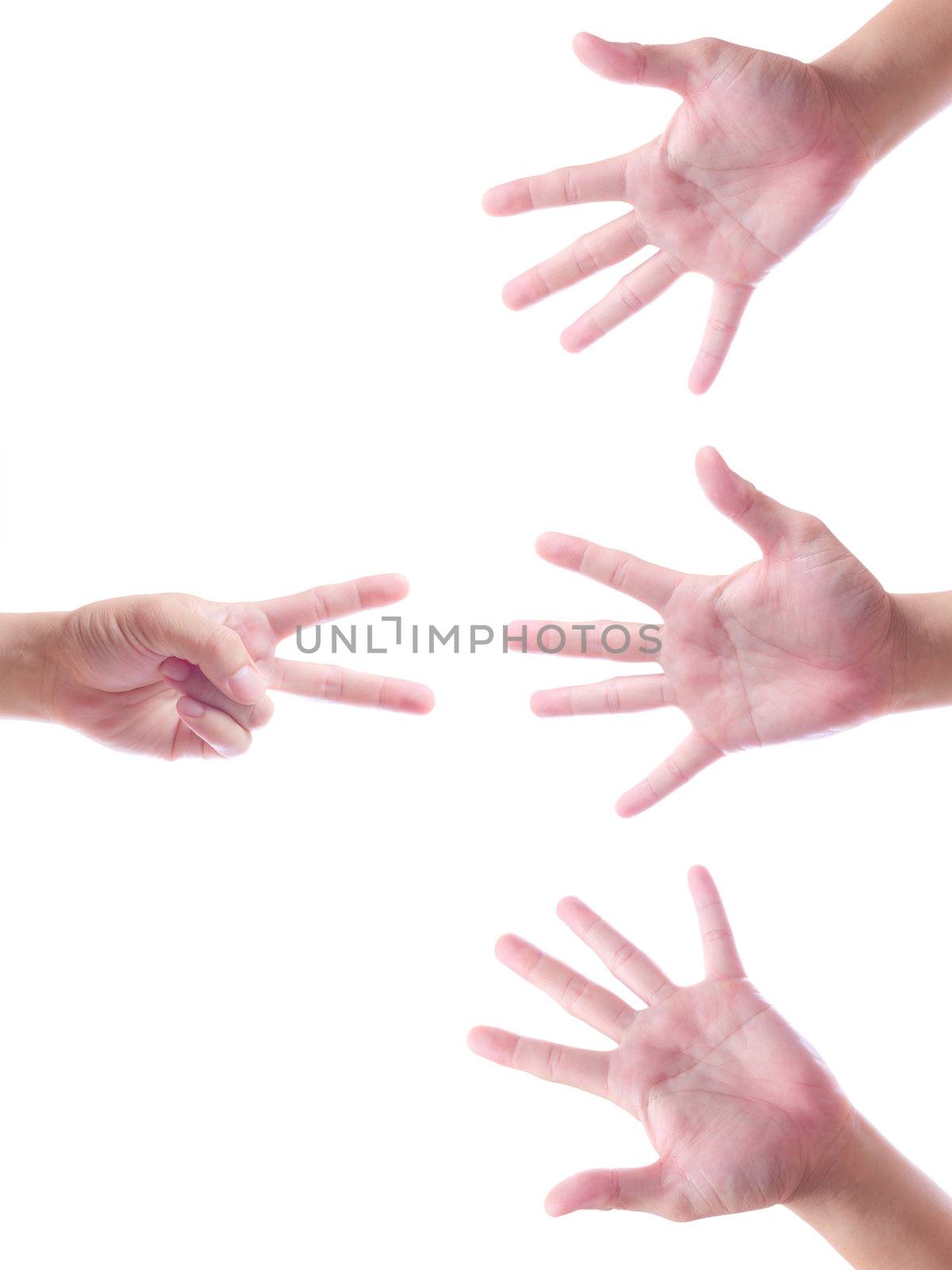 hand symbol isolated