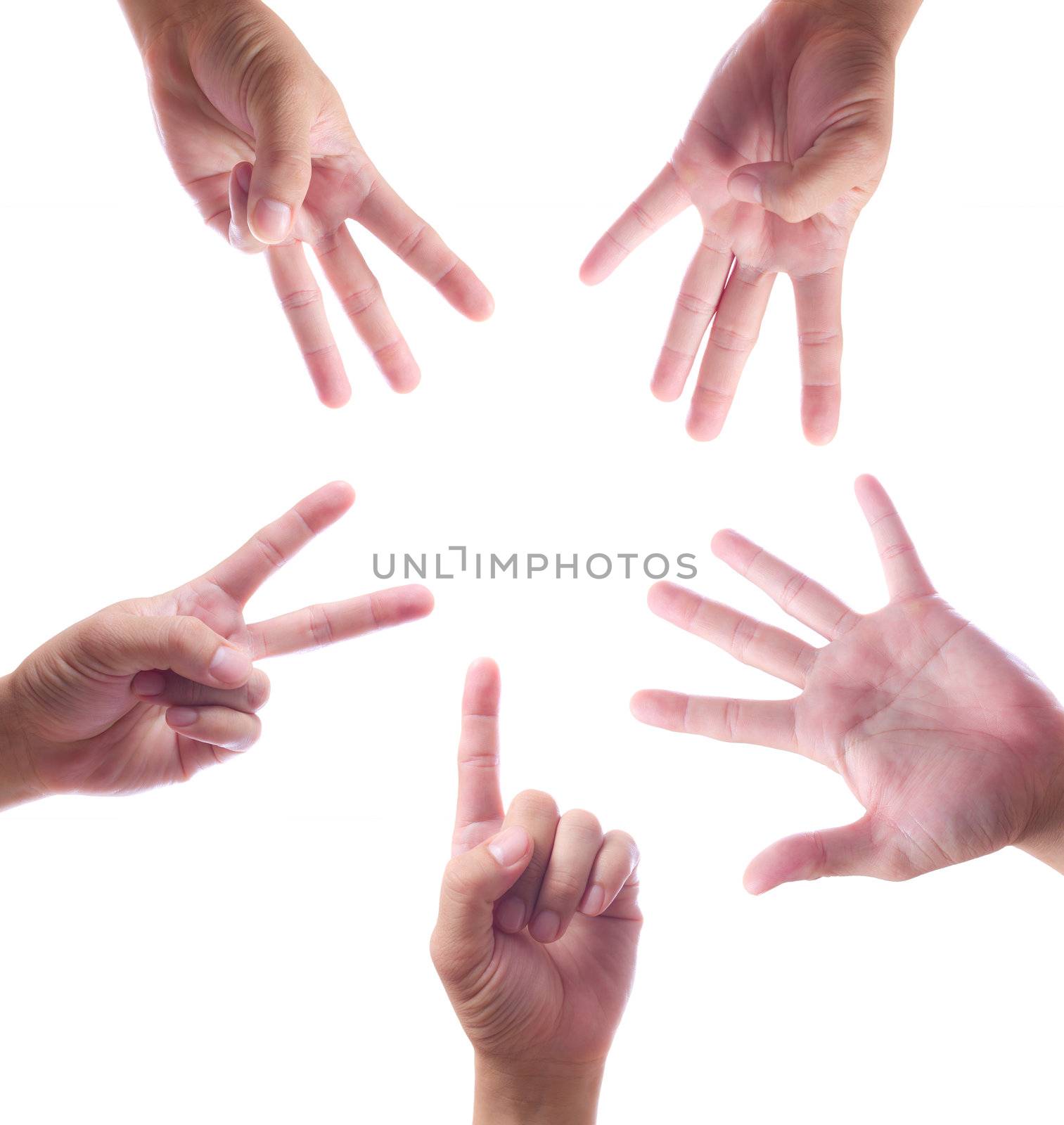 hand count one to five by tungphoto
