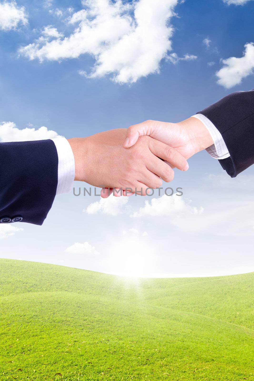 business hand shaking for new day