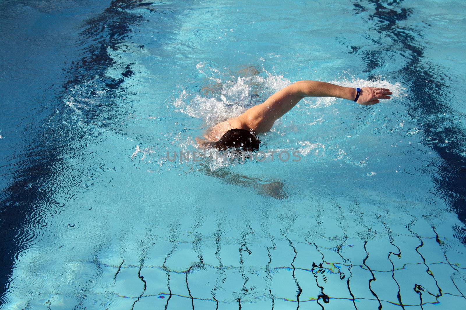 hobby swimmer swim the crawl in pool by photochecker