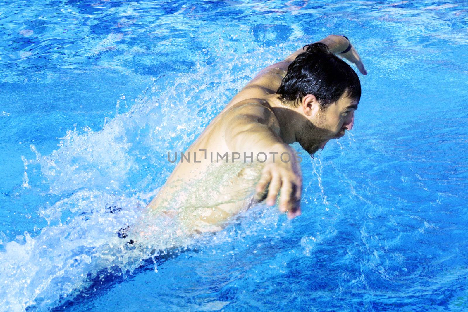 hobby butterfly swimmer in pool by photochecker