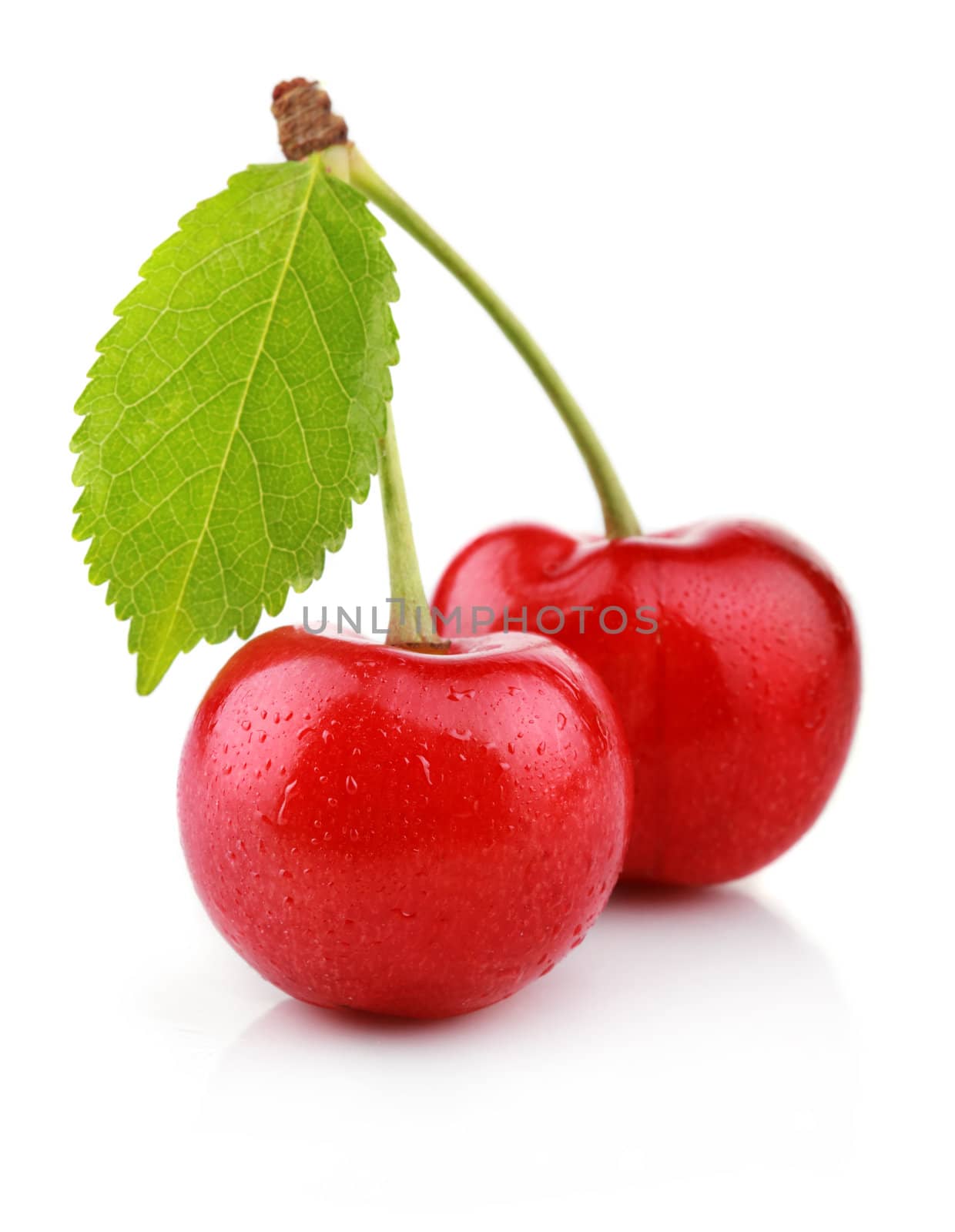 Ripe cherry berries with green leaf isolated on white background