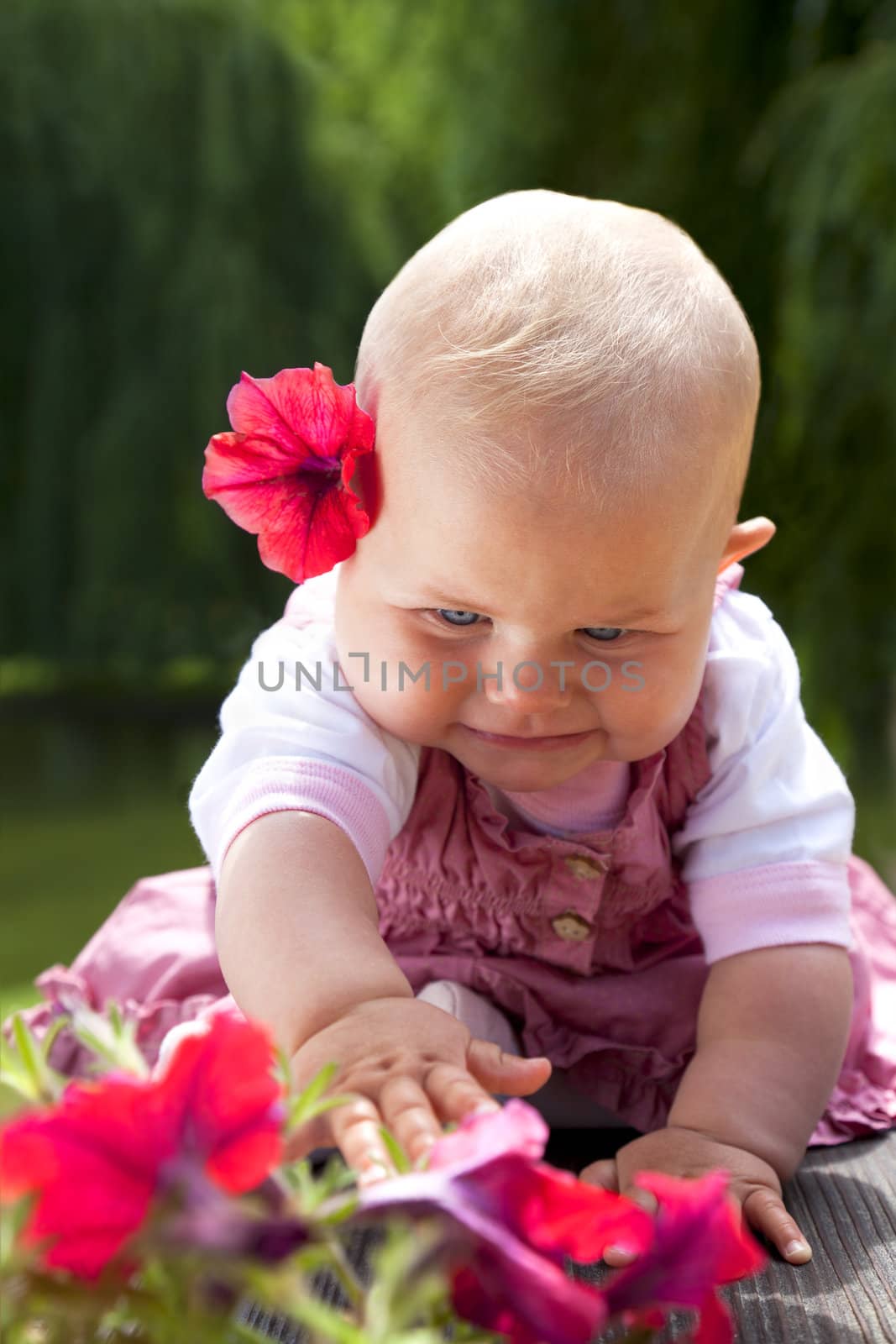 Sweet little baby girl sitting with red flower behind ear