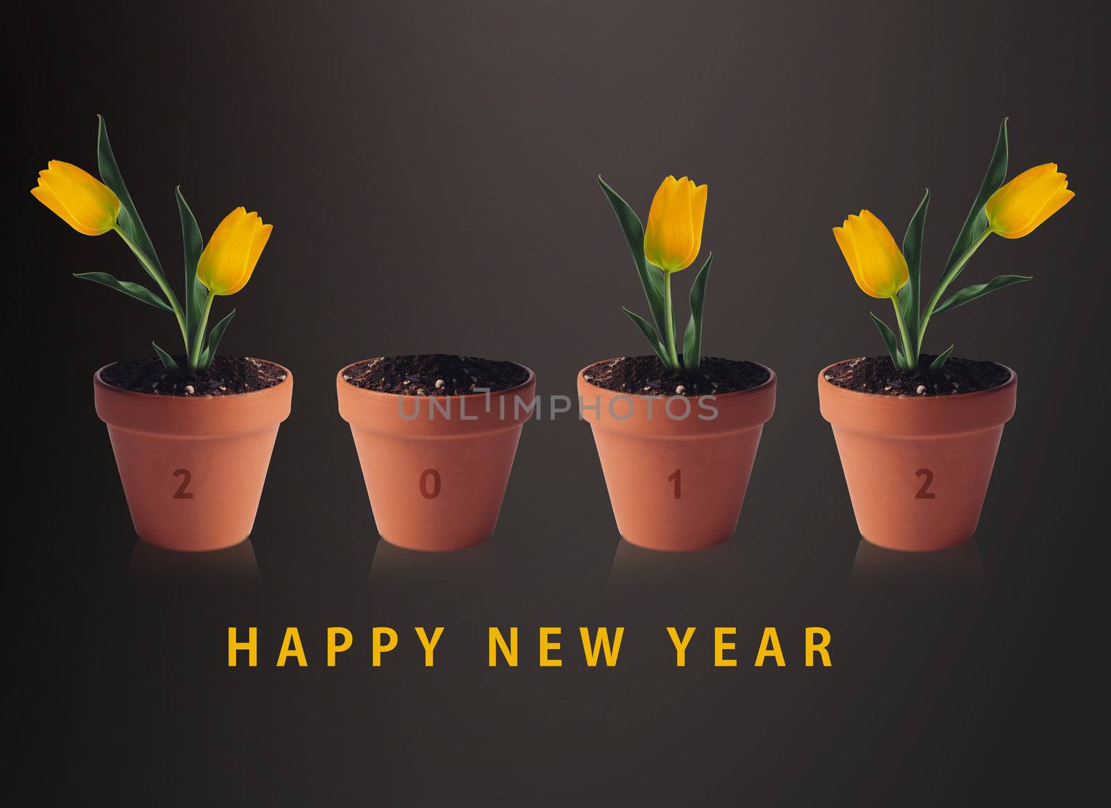 Happy new year 2012, conceptual image pots with yellow tulip flowers making 2012 year numbers.