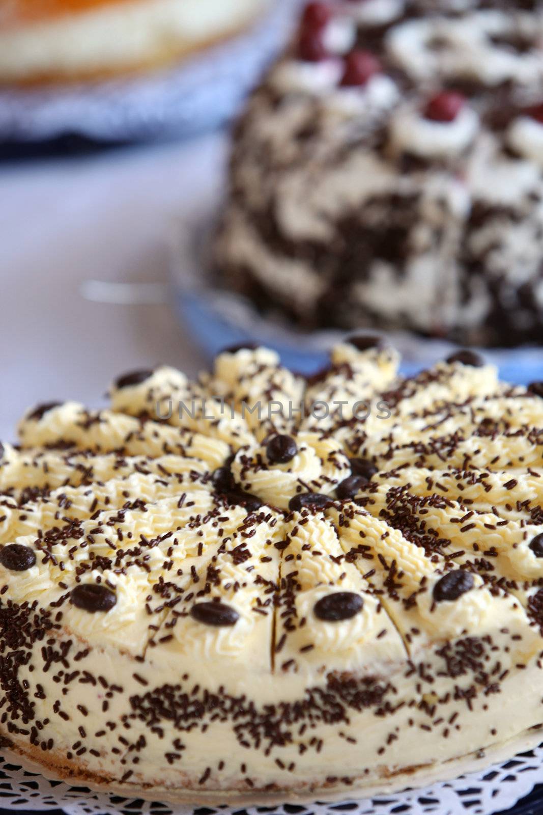 Selection of gourmet freshly baked creamy cakes on a buffet table at a catered event or wedding reception