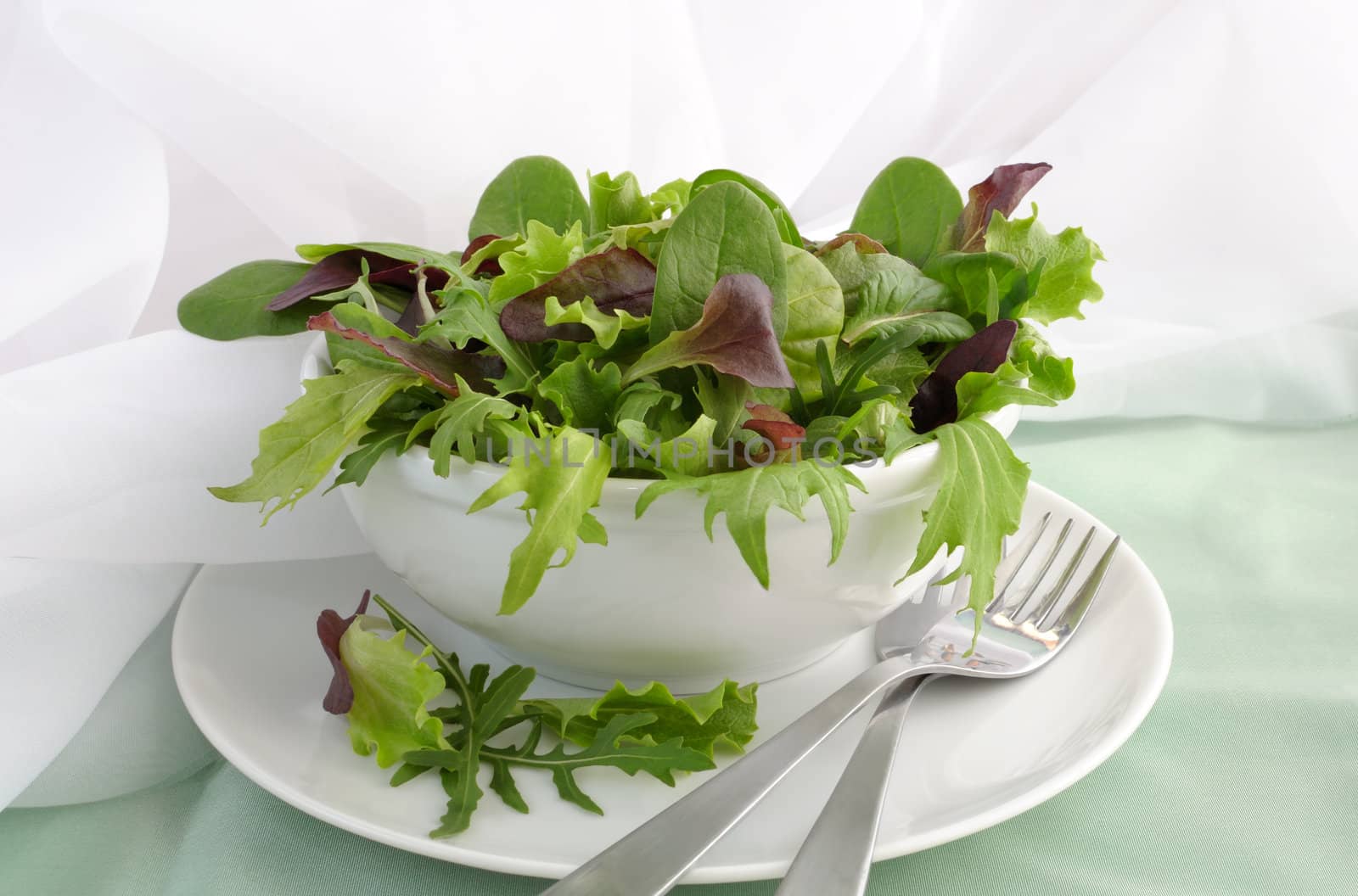 Mix of different varieties of lettuce (spinach, chard, Biondi, arugula, lettuce)